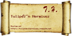 Tulipán Hermiusz névjegykártya
